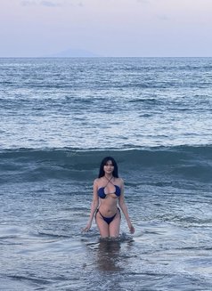 KYLIE Tight Pussy Camshow&GFE available - escort in Manila Photo 30 of 30