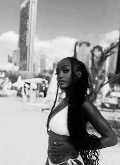 Kylie - escort in Dubai Photo 1 of 4