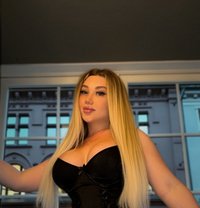 Kylie visiting عربية - Transsexual escort in Amsterdam
