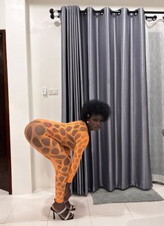 Kysha Malia - escort in Ko Samui Photo 7 of 11