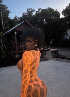 Kysha Malia - escort in Ko Samui Photo 11 of 11
