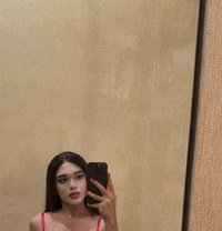 🦋 L a R a 🦋 Xxl - Transsexual escort in İstanbul