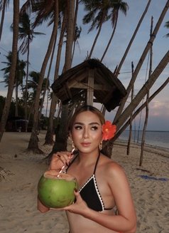 L O V E L Y Y O U N G VIP - Transsexual escort in Manila Photo 4 of 8