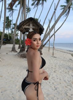 L O V E L Y Y O U N G VIP - Transsexual escort in Manila Photo 6 of 8
