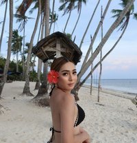 L O V E L Y Y O U N G VIP - Acompañantes transexual in Manila