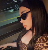 la belle LAYAL - Transsexual escort in Beirut