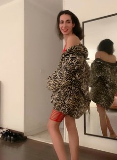 La Reine Morry - Transsexual escort in Cairo Photo 5 of 8