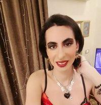 Queen - Acompañantes transexual in Cairo