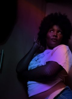 La. Sins - escort in Nairobi Photo 1 of 1