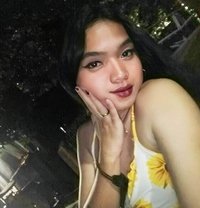 Lacar - Transsexual escort in Manila
