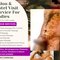 Ladies Massage Salon & Cuckold - Male escort in Colombo
