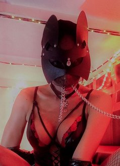 Lady Alpha Tx - Transsexual dominatrix in Cebu City Photo 11 of 12