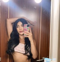 Lady Boy🥰 - Transsexual escort in Doha