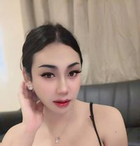 Lady Boy in Al khuwair 69 - Transsexual escort in Muscat