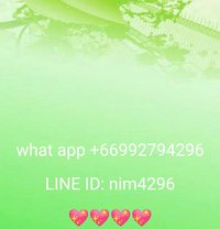 Lady Boy Niko - Transsexual escort in Phuket