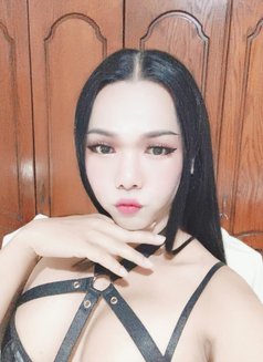 Lady boy Thailand - Acompañantes transexual in Riyadh Photo 11 of 11