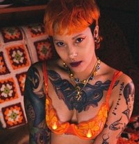 Lady Charybde - puta in Paris