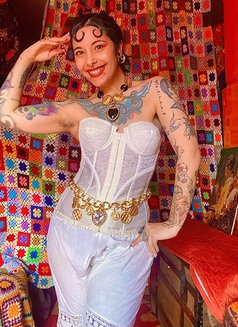 Lady Charybde - puta in Paris Photo 4 of 6