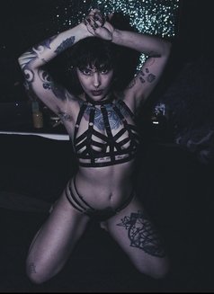 Lady Charybde - escort in Paris Photo 1 of 5