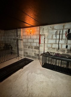 Lady Courteney - escort in Amsterdam Photo 3 of 8