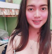 Lady Fox - Acompañantes transexual in Manila
