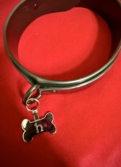 Lady Lola - dominatrix in Cebu City Photo 6 of 8