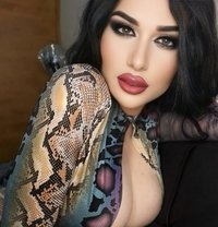 Baye3t lhalib - Transsexual escort in Beirut