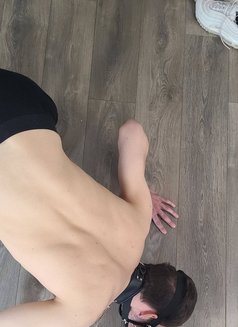 Lady Veinne - dominatrix in Malmö Photo 2 of 7