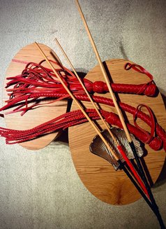 Lady Veinne - dominatrix in Malmö Photo 5 of 7