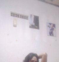 Ladybay. Vesrtop. Kuta Bali Indonesia - Transsexual companion in Sydney