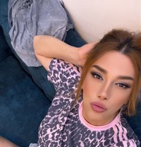 Ladyboy 19 cm - Transsexual escort in İstanbul