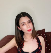 Ladyboy 69 - Transsexual escort in Al Manama