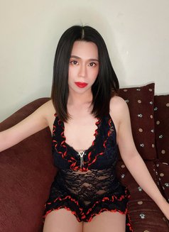 Ladyboy 69 - Transsexual escort in Al Manama Photo 3 of 4