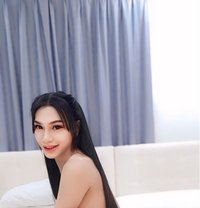 Ladyboy 69 - Transsexual escort in Al Manama