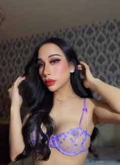Ladyboy Al ain - Masajista in Al Ain Photo 18 of 24
