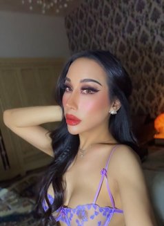 Ladyboy Al ain - Masajista in Al Ain Photo 24 of 24
