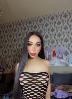 Ladyboy Al ain - Masajista in Al Ain Photo 23 of 23