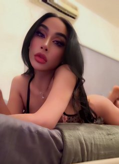 Ladyboy Al ain - masseuse in Al Ain Photo 24 of 25