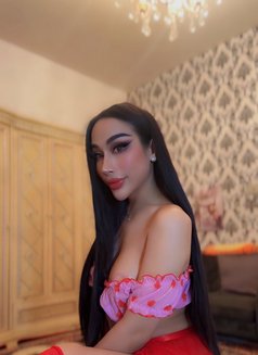Ladyboy Al ain - masseuse in Al Ain Photo 26 of 27