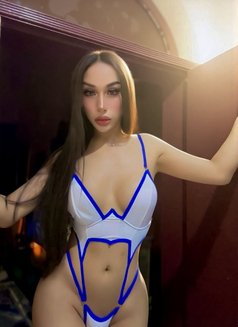 Ladyboy Al ain - masseuse in Al Ain Photo 14 of 16