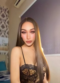 Ladyboy Al ain - masseuse in Al Ain Photo 15 of 26