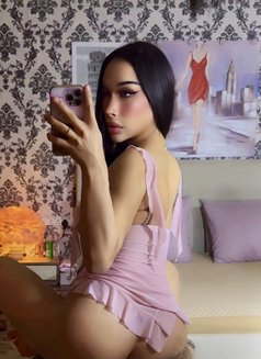 Ladyboy Al ain - masseuse in Al Ain Photo 24 of 26