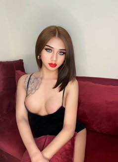 Ladyboy Al Hail South Muscat - escort in Muscat Photo 1 of 6