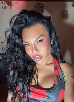 Ladyboy Amanda - Transsexual escort in Milan Photo 17 of 21