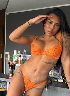 Ladyboy Amanda - Transsexual escort in Milan Photo 18 of 21