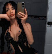 Jenny Thai LB - Transsexual escort in Pattaya
