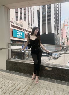 Ladyboy anh - Transsexual escort in Manila Photo 14 of 17