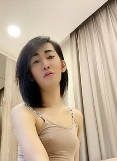 Ladyboy Ann Thai - Transsexual escort in Al Manama Photo 1 of 8