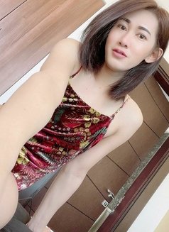 Ladyboy Ann Thai - Transsexual escort in Al Manama Photo 5 of 8