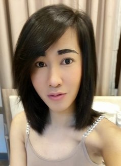 Ladyboy Ann Thai - Transsexual escort in Al Manama Photo 7 of 8